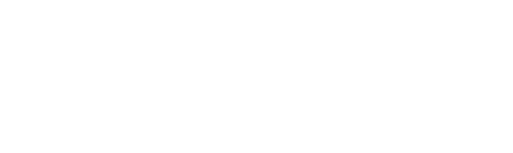 Conseil Helvétique